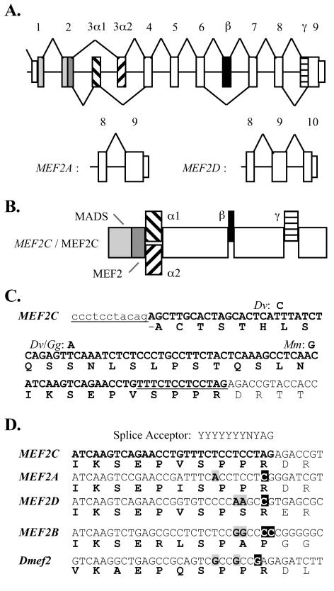 An external file that holds a picture, illustration, etc.
Object name is zmb0180443960001.jpg