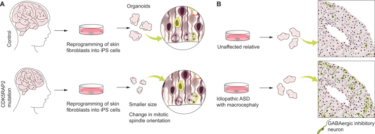 Fig. 3.