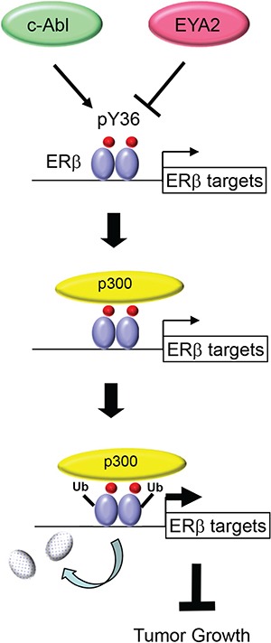 An external file that holds a picture, illustration, etc.
Object name is oncotarget-07-42585-g006.jpg