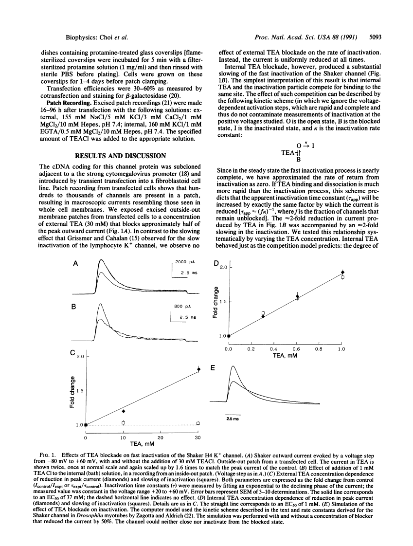 icon of scanned page 5093