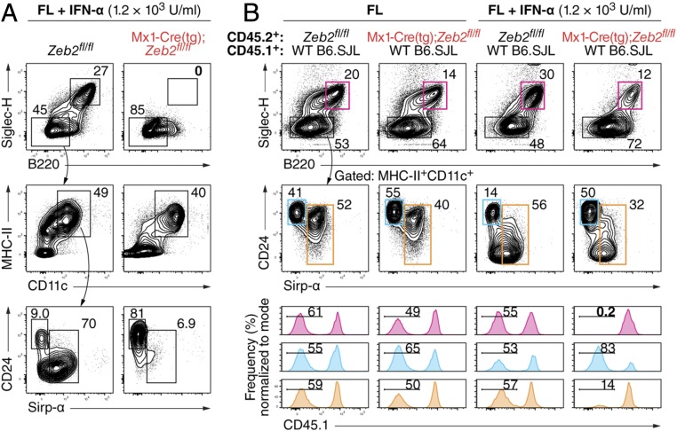 An external file that holds a picture, illustration, etc.
Object name is pnas.1611408114fig03.jpg