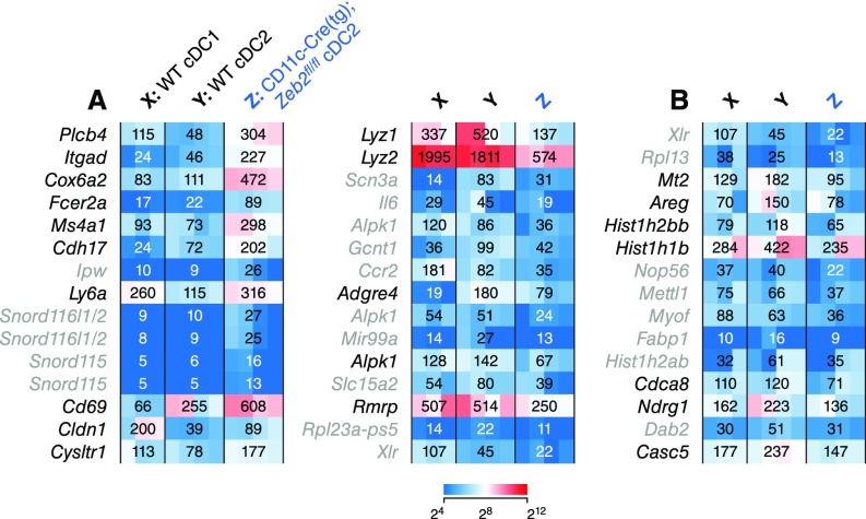 An external file that holds a picture, illustration, etc.
Object name is pnas.1611408114sfig02.jpg