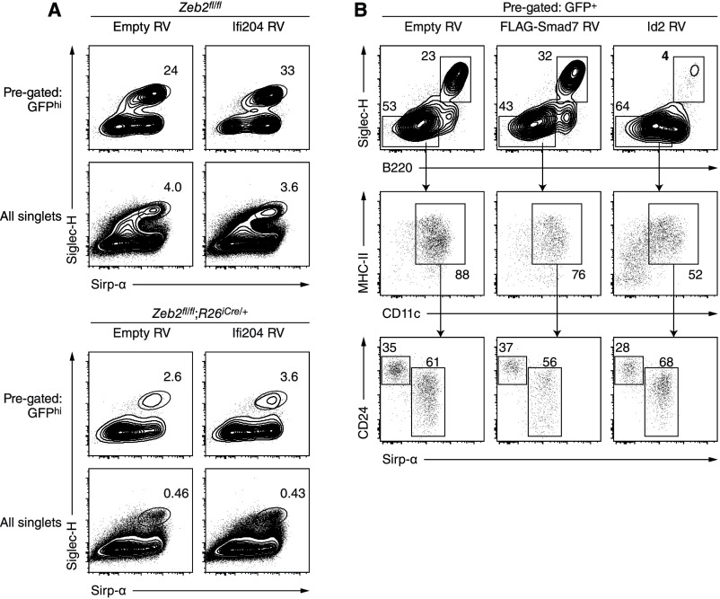 An external file that holds a picture, illustration, etc.
Object name is pnas.1611408114sfig03.jpg