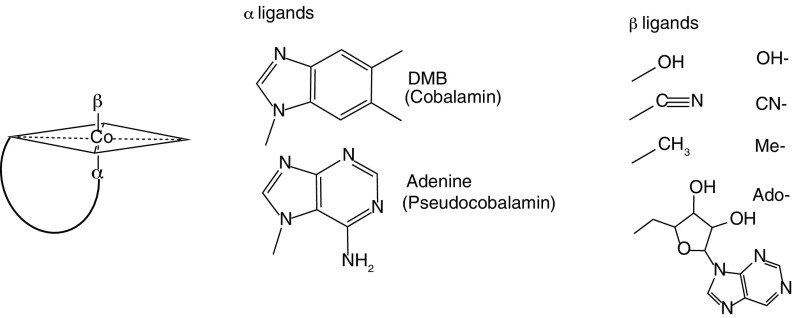 An external file that holds a picture, illustration, etc.
Object name is pnas.1608462114fig01.jpg