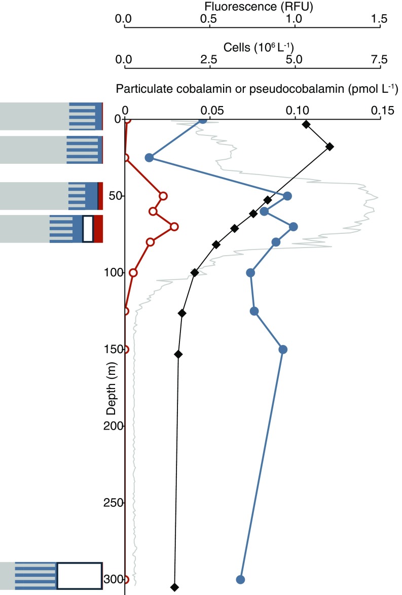 An external file that holds a picture, illustration, etc.
Object name is pnas.1608462114fig05.jpg