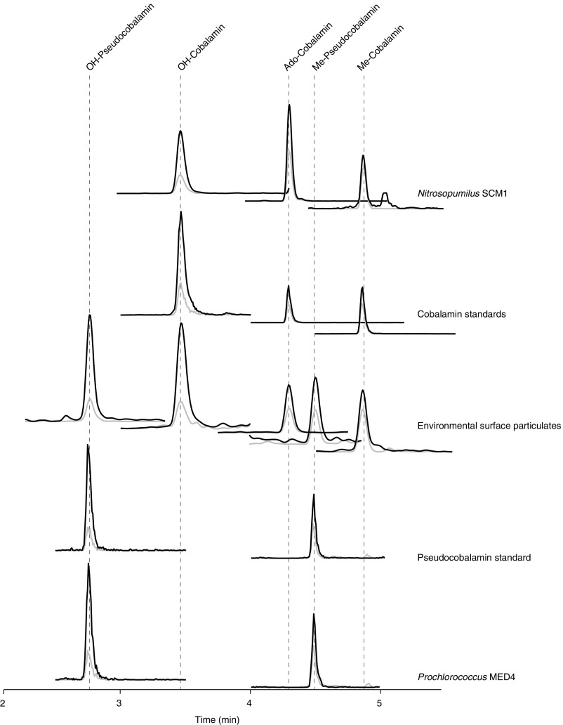 An external file that holds a picture, illustration, etc.
Object name is pnas.1608462114sfig06.jpg