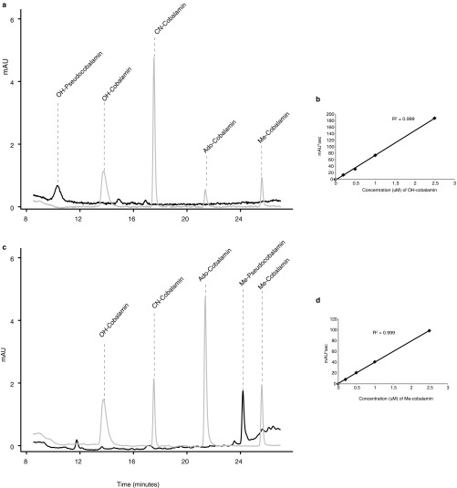 An external file that holds a picture, illustration, etc.
Object name is pnas.1608462114sfig07.jpg