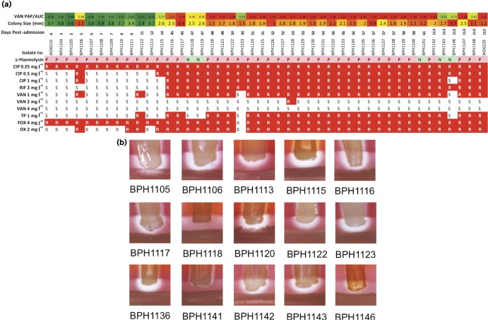 An external file that holds a picture, illustration, etc.
Object name is mgen-01-26-f001.jpg