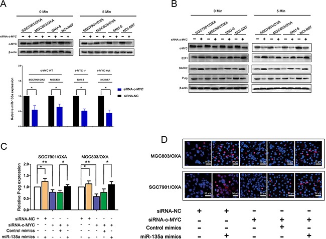 An external file that holds a picture, illustration, etc.
Object name is oncotarget-07-70699-g008.jpg