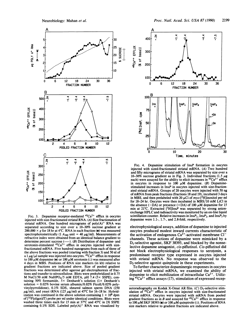 icon of scanned page 2199