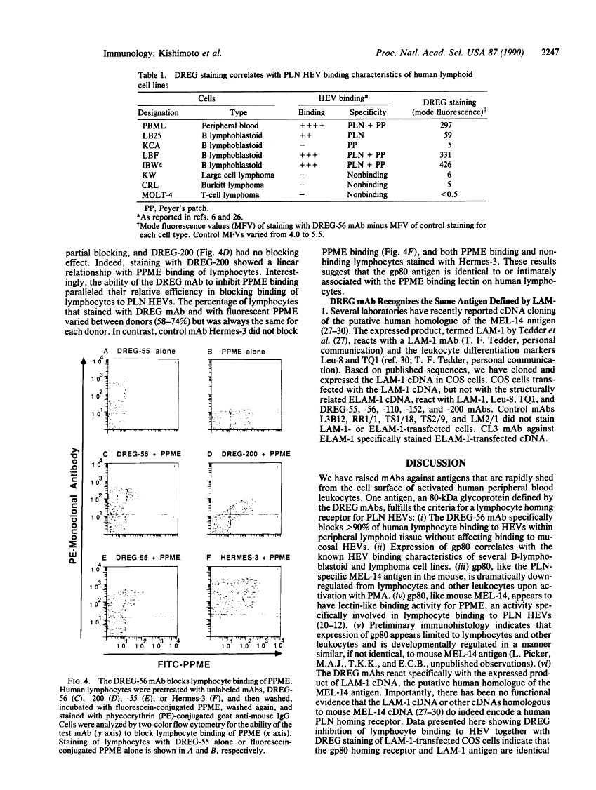 icon of scanned page 2247