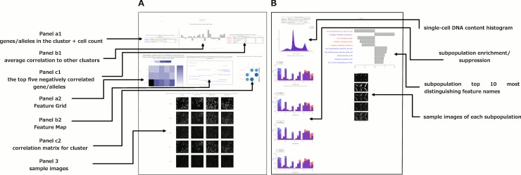 An external file that holds a picture, illustration, etc.
Object name is elife-24060-fig5.jpg