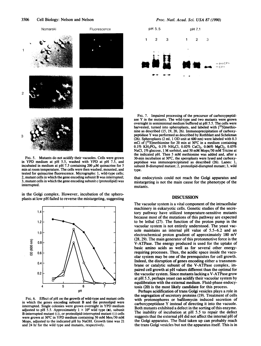 icon of scanned page 3506