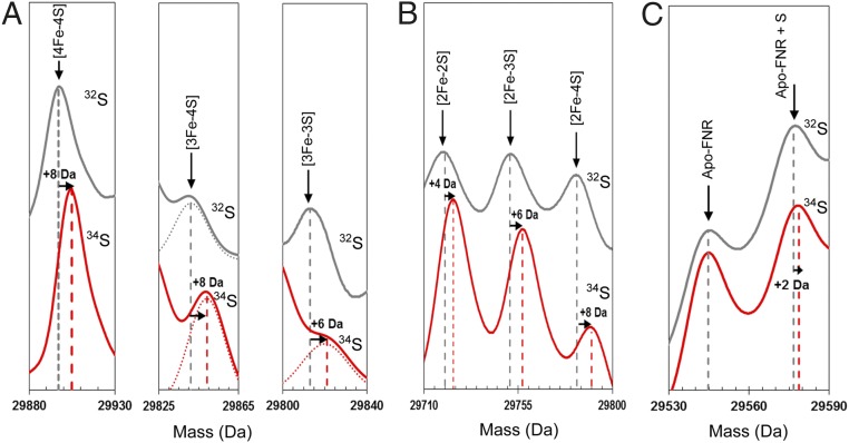 An external file that holds a picture, illustration, etc.
Object name is pnas.1620987114fig03.jpg