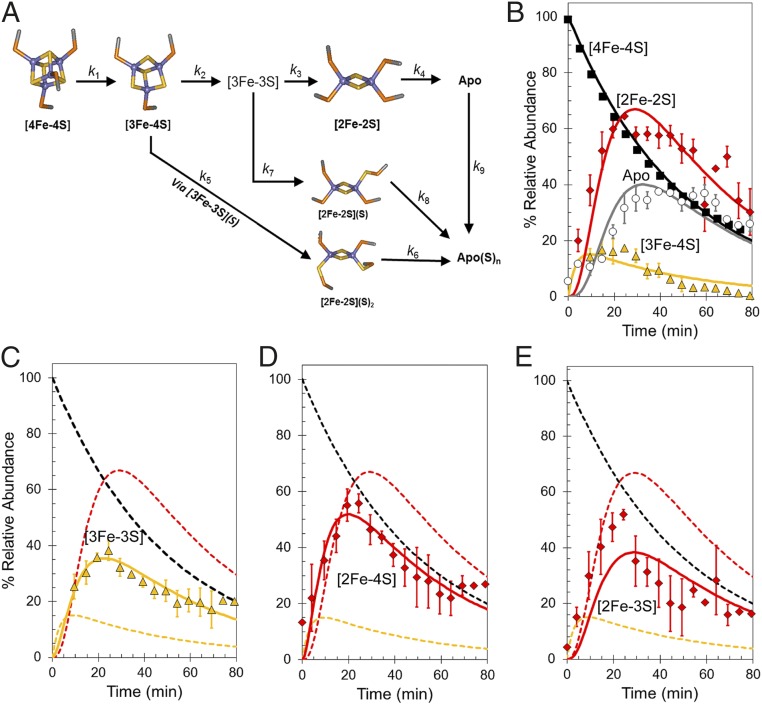 An external file that holds a picture, illustration, etc.
Object name is pnas.1620987114fig04.jpg