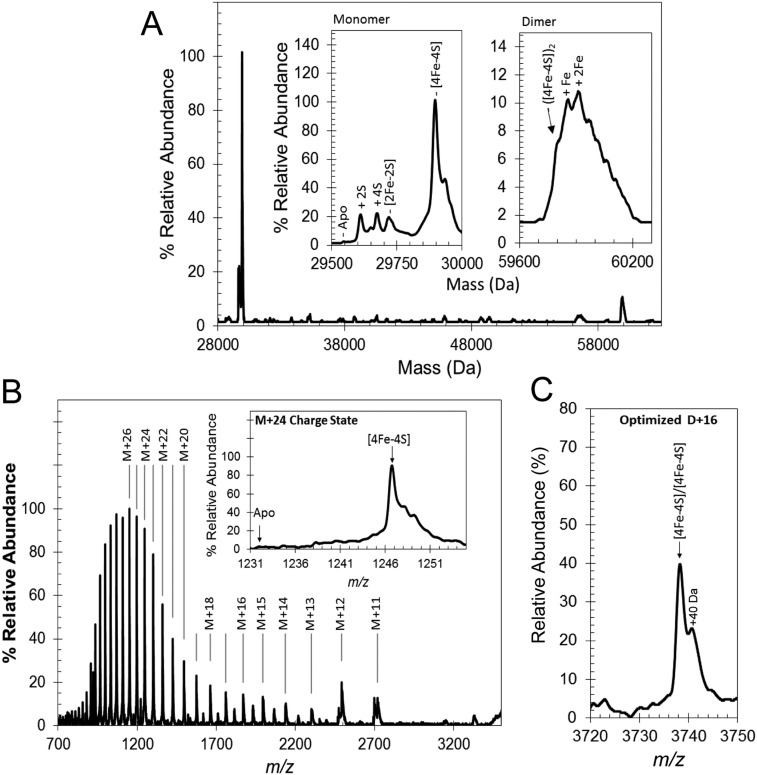 An external file that holds a picture, illustration, etc.
Object name is pnas.1620987114sfig01.jpg