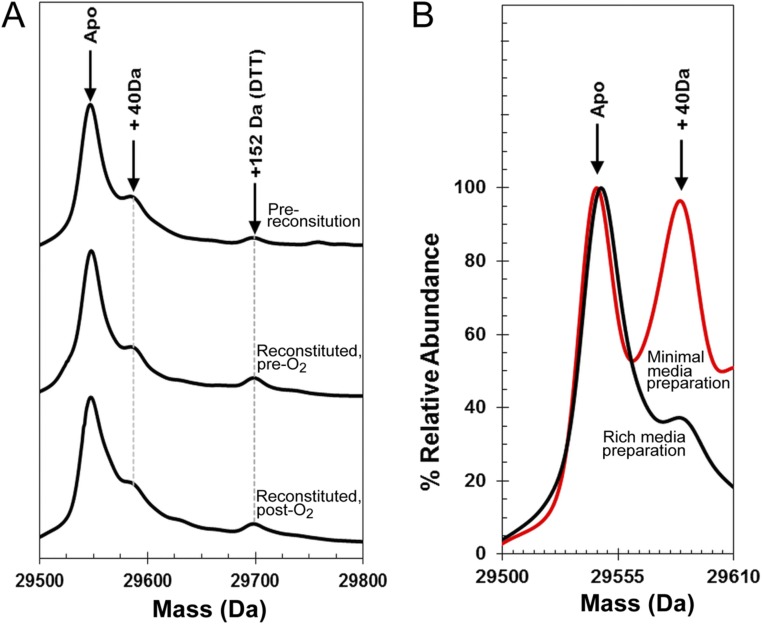 An external file that holds a picture, illustration, etc.
Object name is pnas.1620987114sfig02.jpg