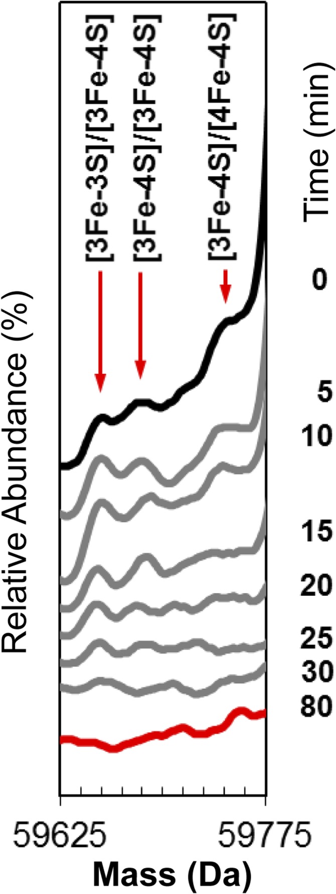 An external file that holds a picture, illustration, etc.
Object name is pnas.1620987114sfig04.jpg