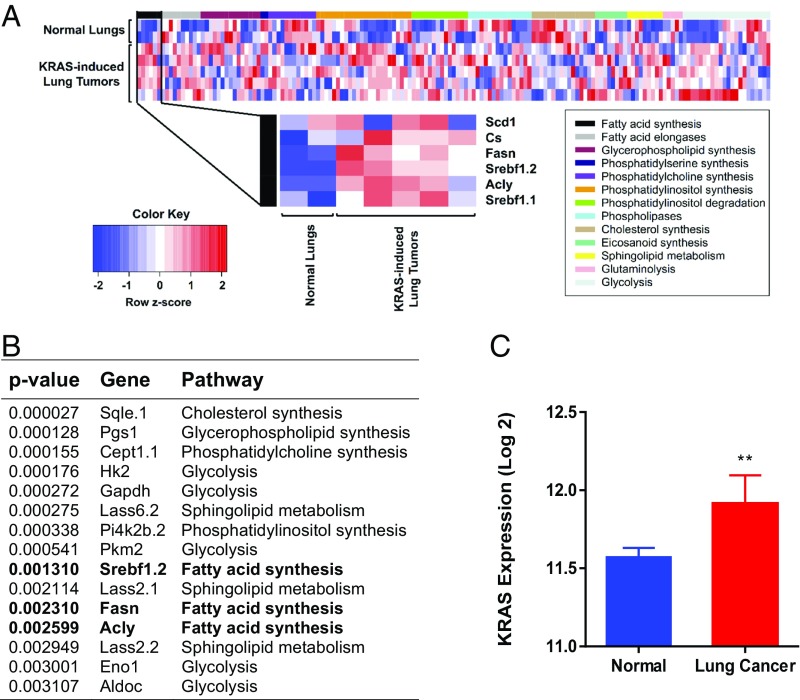 An external file that holds a picture, illustration, etc.
Object name is pnas.1617709114fig01.jpg