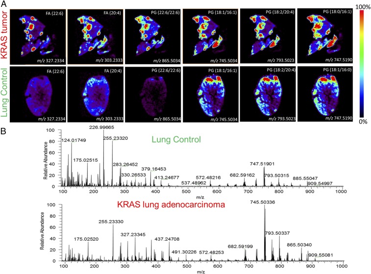 An external file that holds a picture, illustration, etc.
Object name is pnas.1617709114fig04.jpg