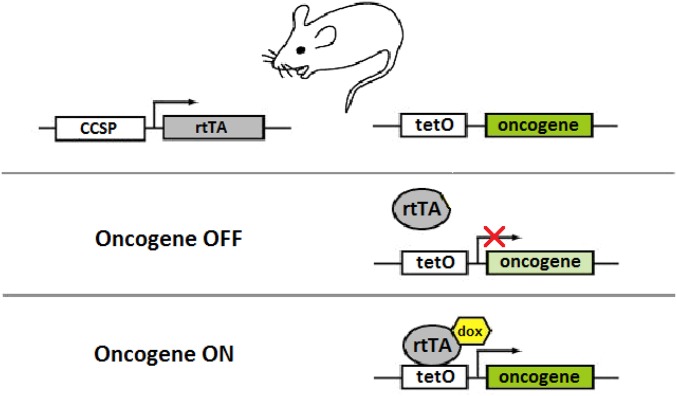 An external file that holds a picture, illustration, etc.
Object name is pnas.1617709114sfig02.jpg