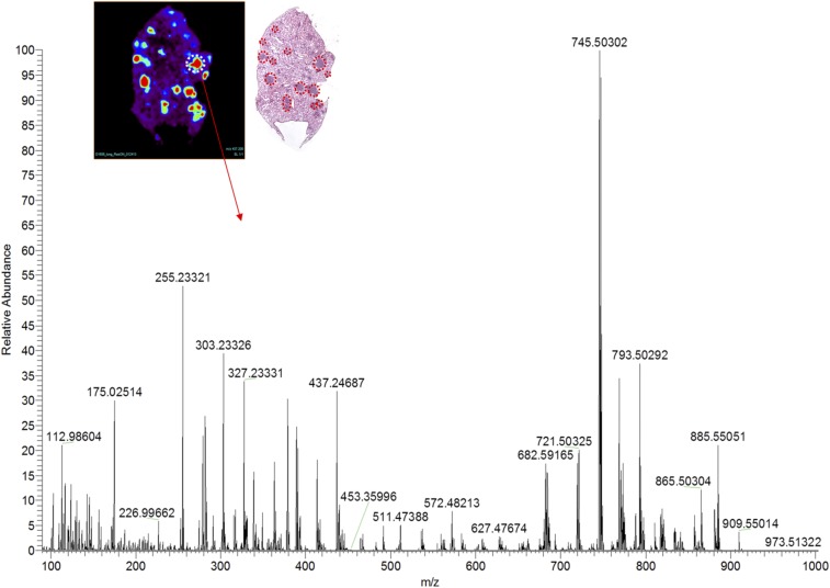 An external file that holds a picture, illustration, etc.
Object name is pnas.1617709114sfig03.jpg