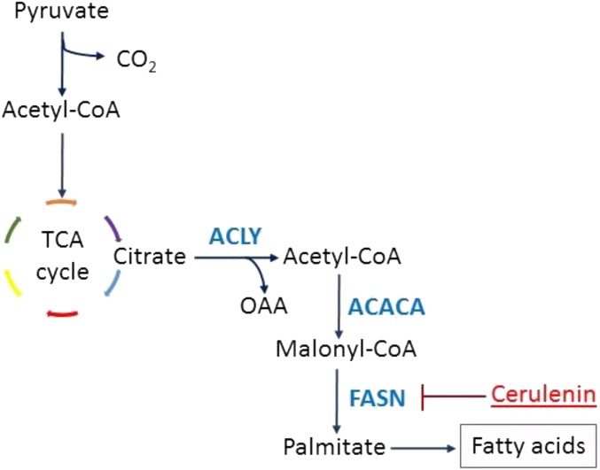 An external file that holds a picture, illustration, etc.
Object name is pnas.1617709114sfig04.jpg