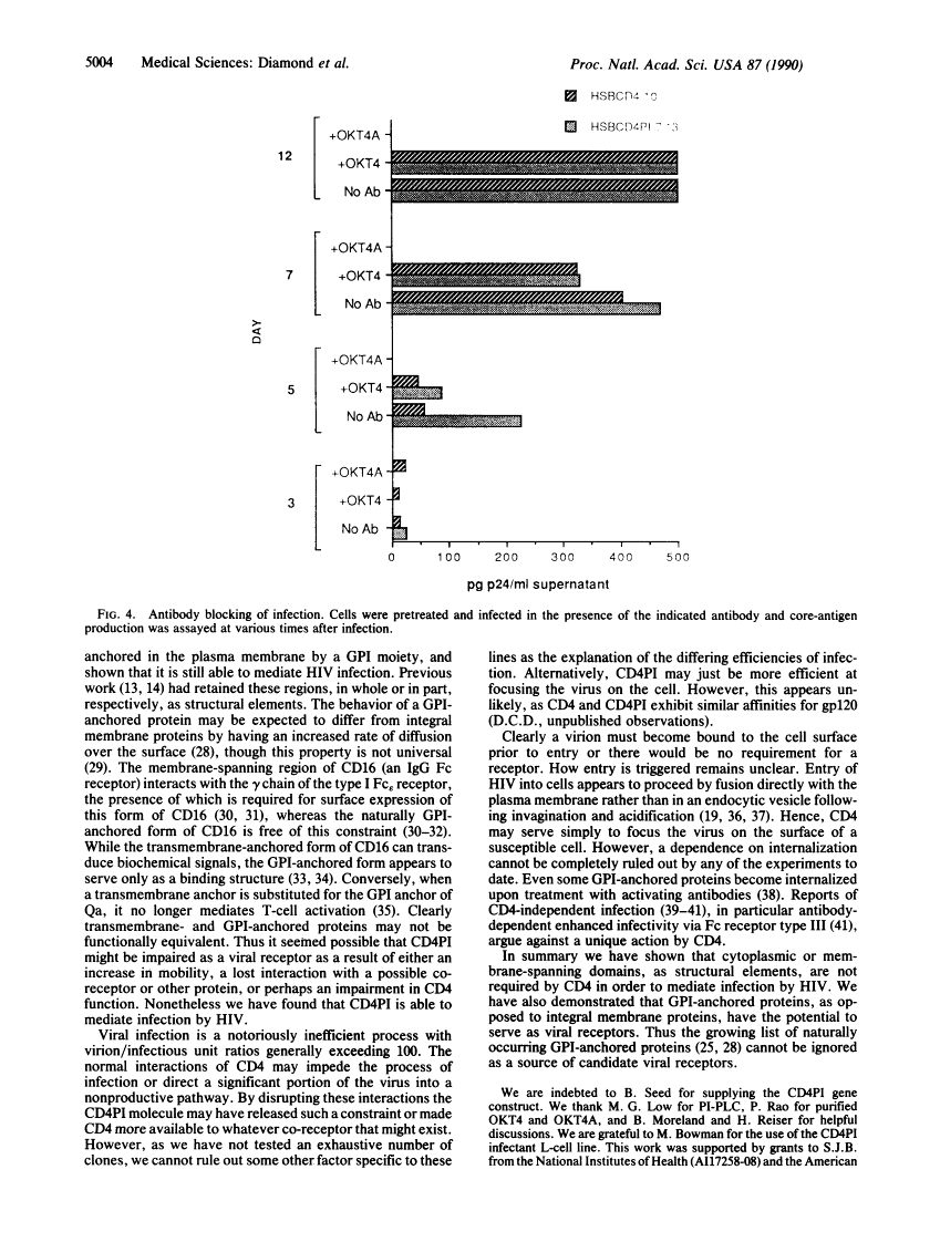 icon of scanned page 5004