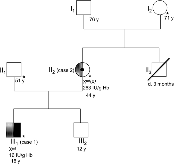 An external file that holds a picture, illustration, etc.
Object name is 41531_2017_14_Fig1_HTML.jpg