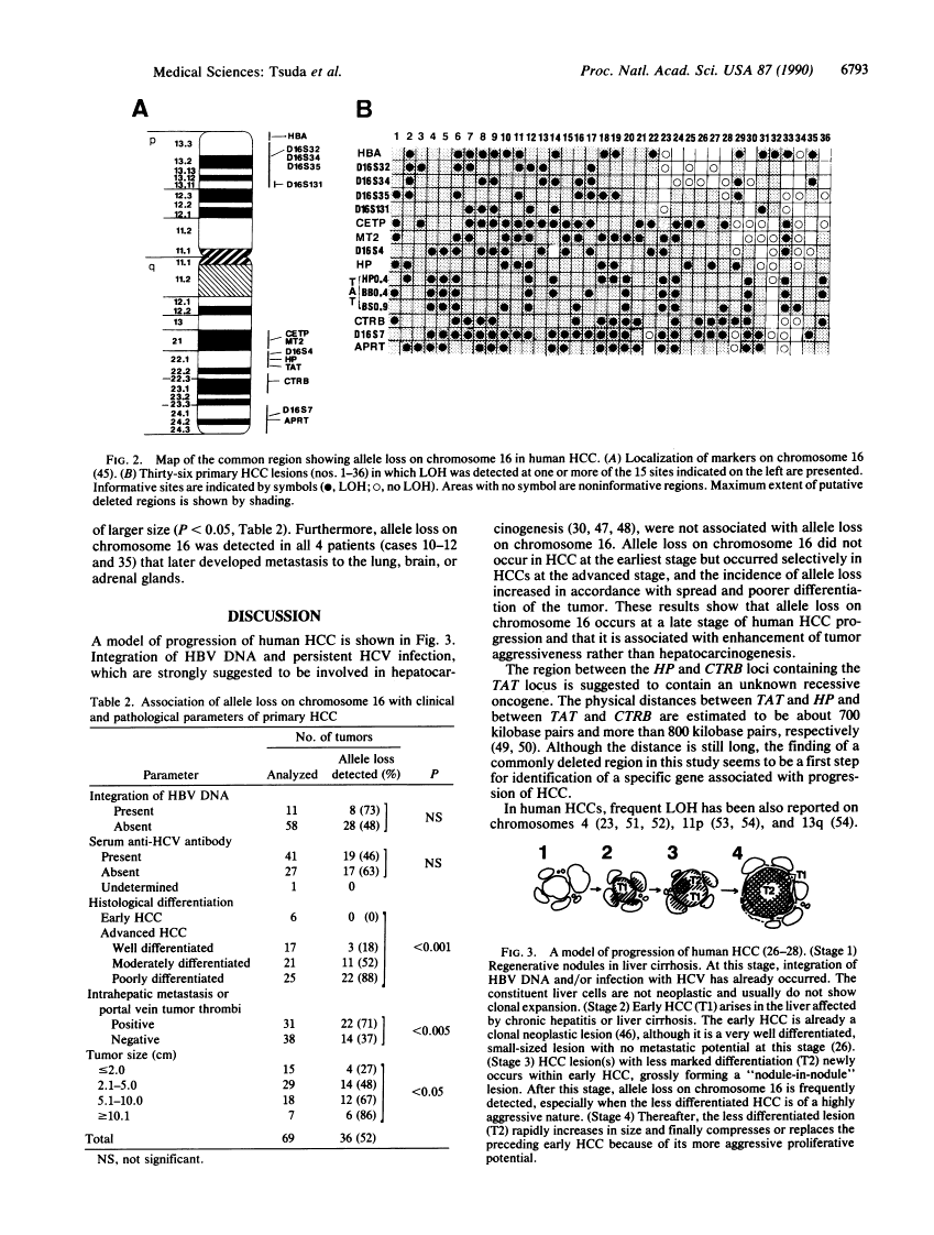 icon of scanned page 6793