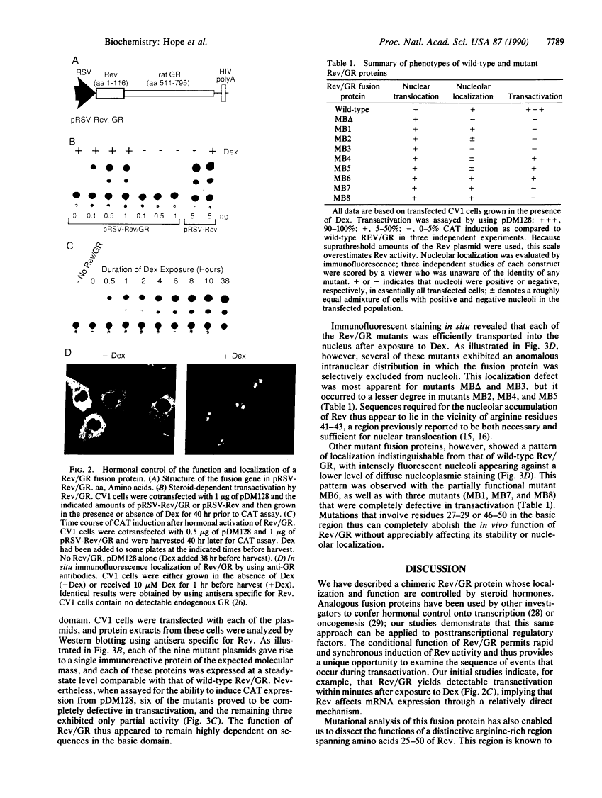 icon of scanned page 7789