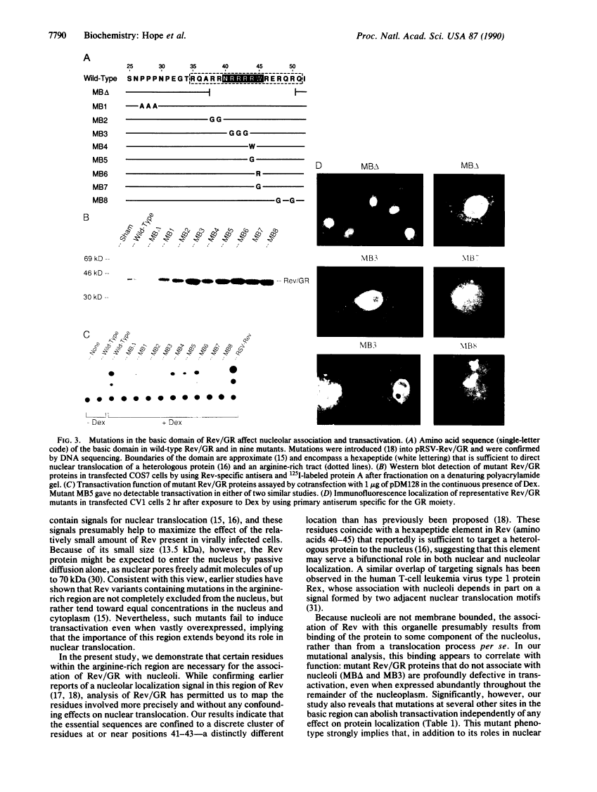 icon of scanned page 7790