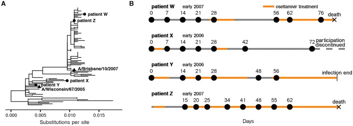 An external file that holds a picture, illustration, etc.
Object name is elife-26875-fig1.jpg