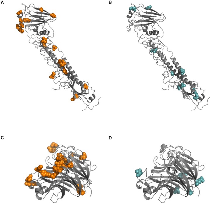 An external file that holds a picture, illustration, etc.
Object name is elife-26875-fig2-figsupp6.jpg