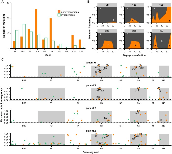 An external file that holds a picture, illustration, etc.
Object name is elife-26875-fig2.jpg