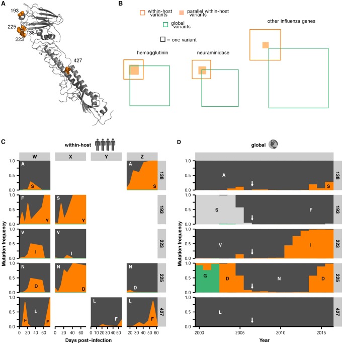 An external file that holds a picture, illustration, etc.
Object name is elife-26875-fig4.jpg