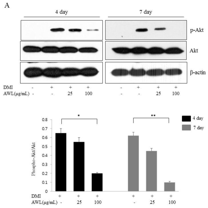 An external file that holds a picture, illustration, etc.
Object name is nutrients-09-00554-g003a.jpg