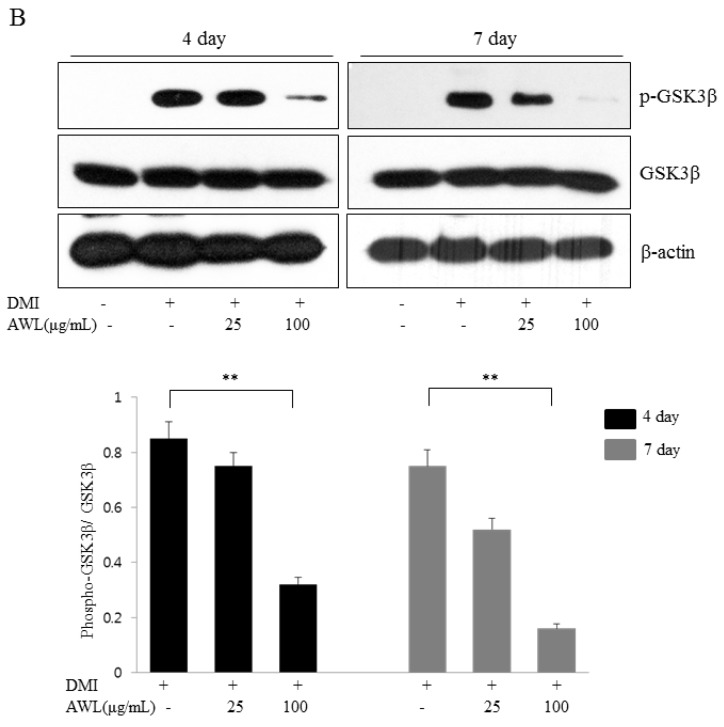 An external file that holds a picture, illustration, etc.
Object name is nutrients-09-00554-g003b.jpg