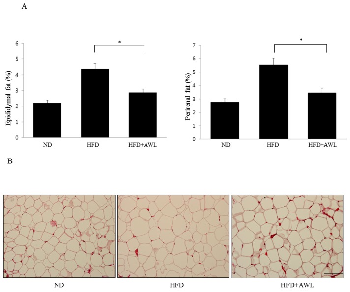 An external file that holds a picture, illustration, etc.
Object name is nutrients-09-00554-g004.jpg