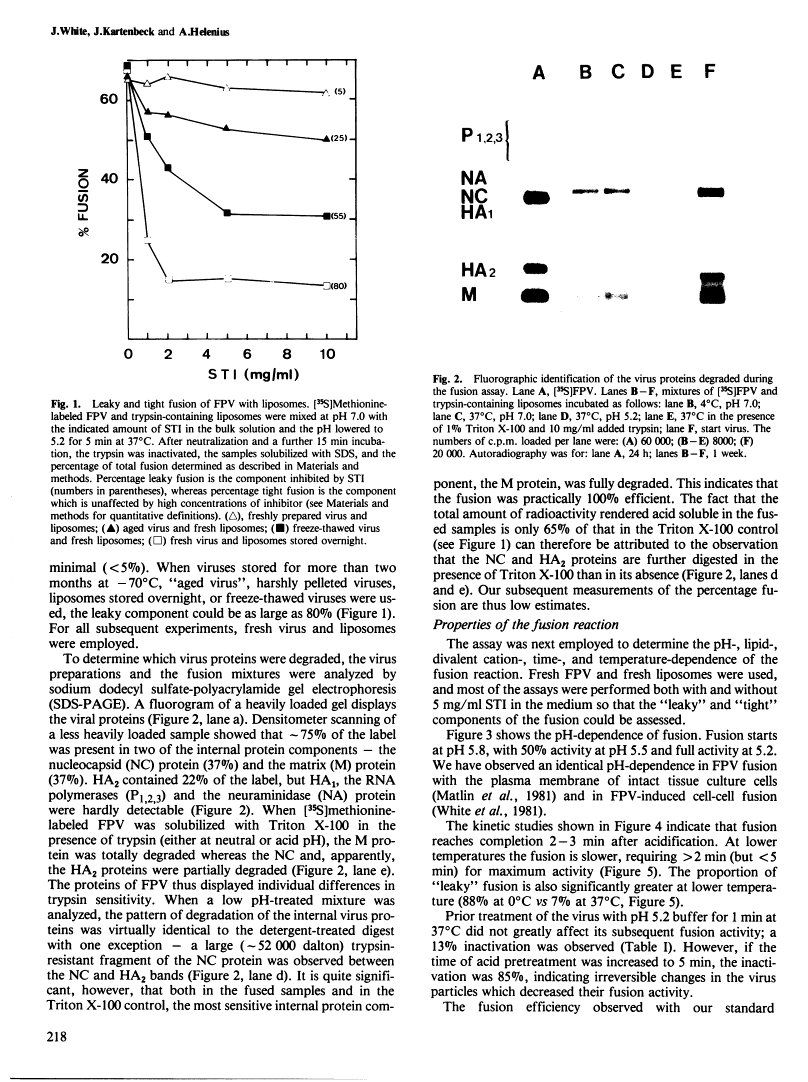 icon of scanned page 218