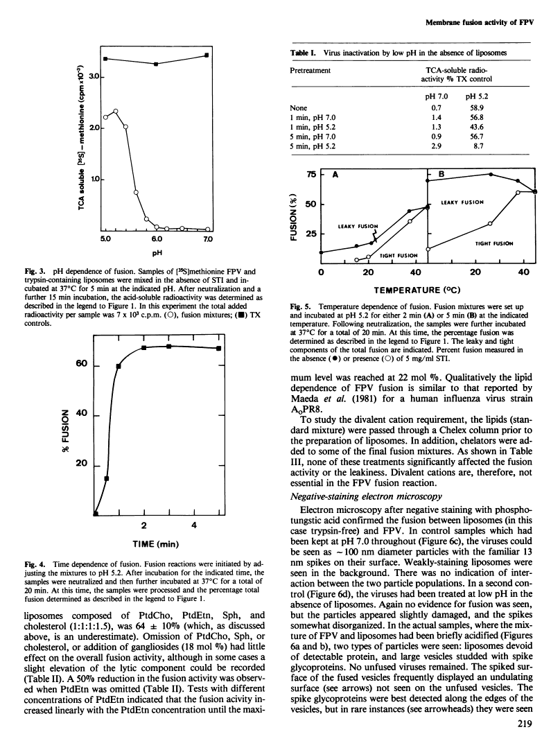 icon of scanned page 219