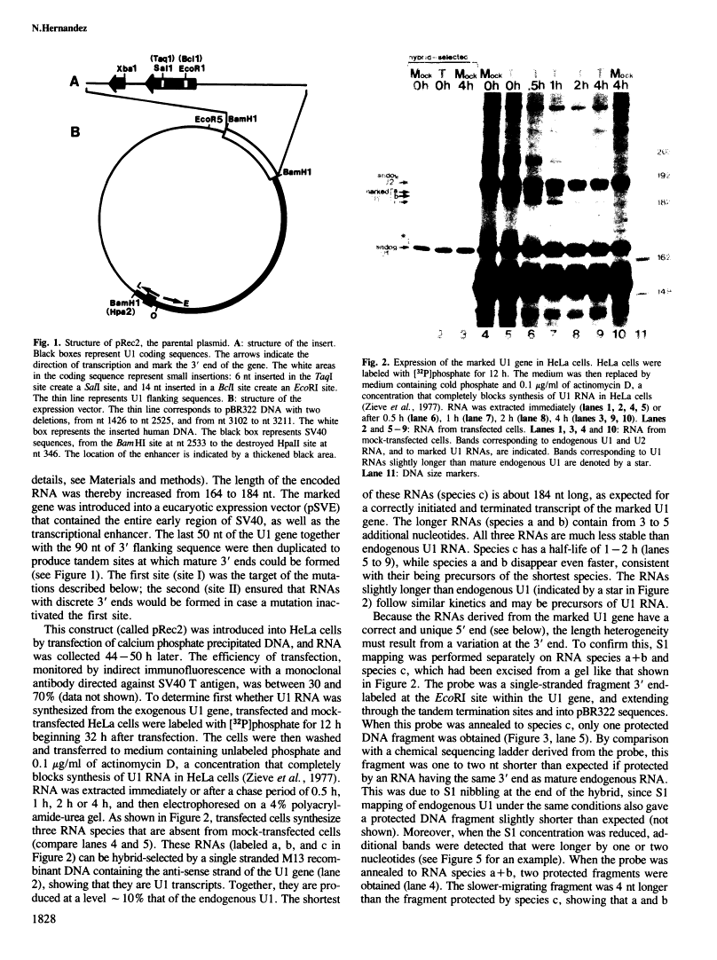 icon of scanned page 1828