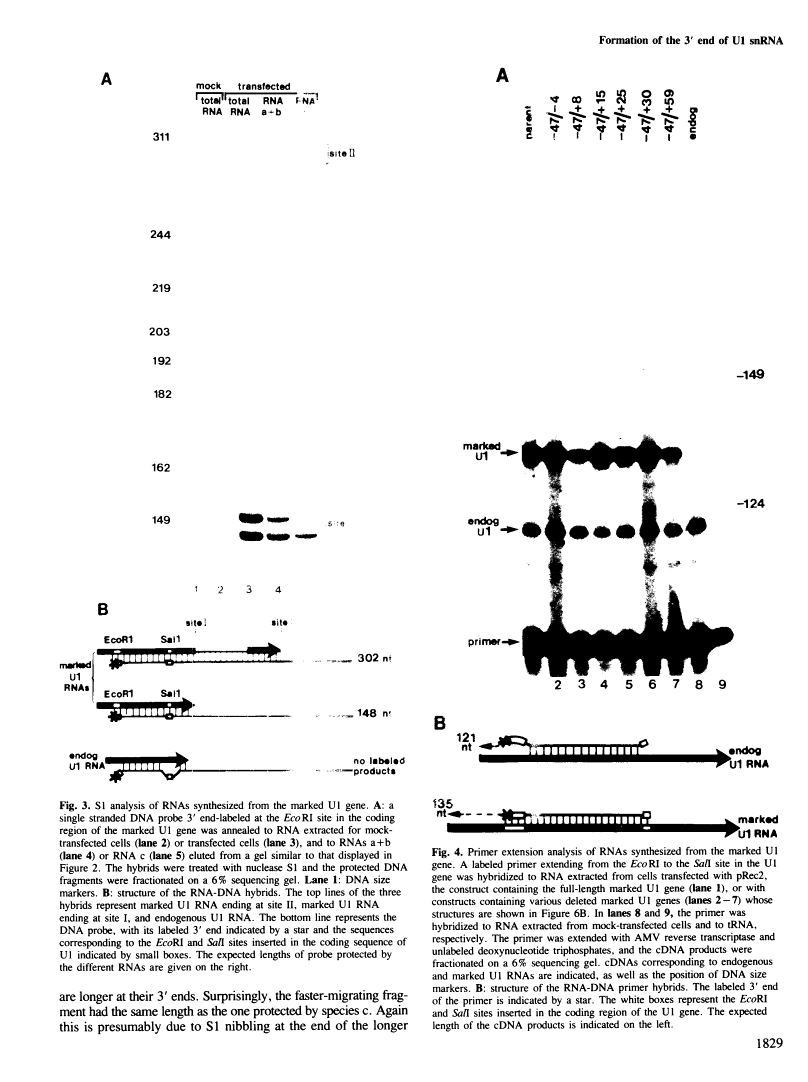 icon of scanned page 1829