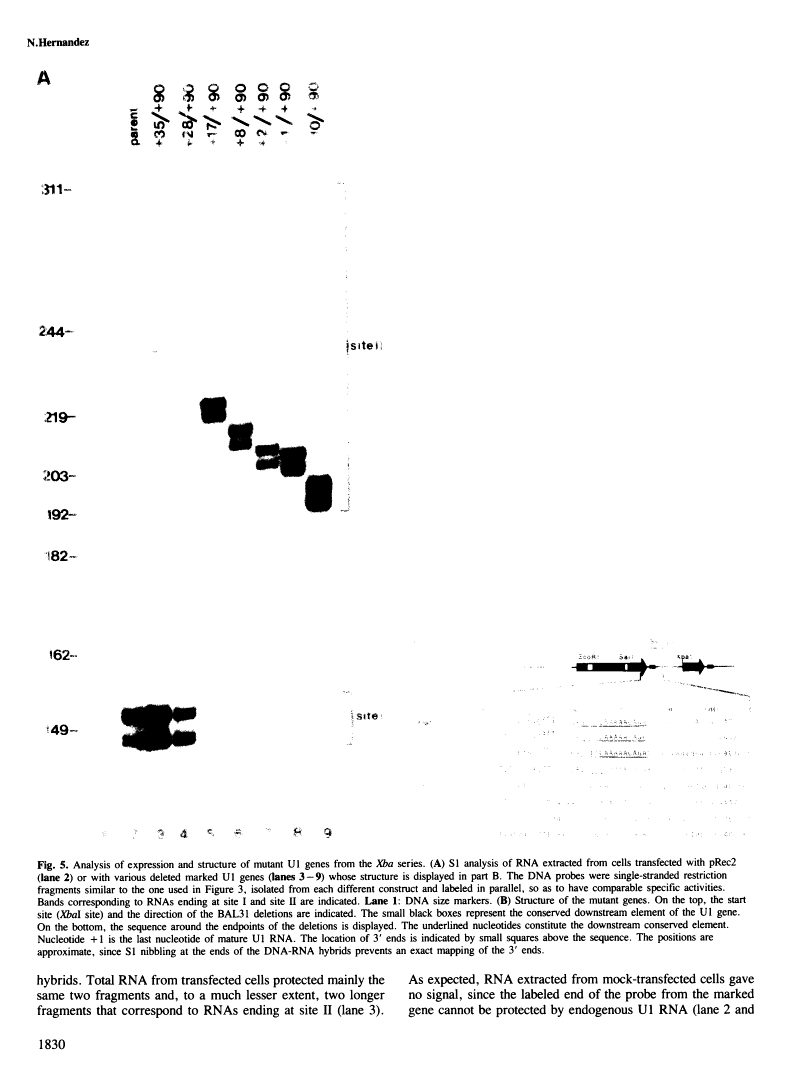 icon of scanned page 1830