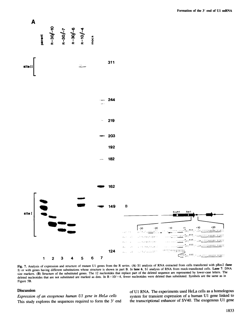 icon of scanned page 1833