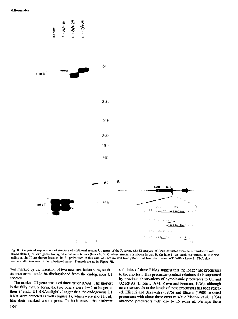 icon of scanned page 1834