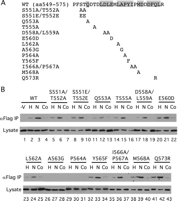 An external file that holds a picture, illustration, etc.
Object name is pq1813414002.jpg