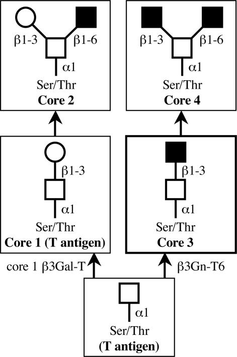 An external file that holds a picture, illustration, etc.
Object name is zpq0120577090001.jpg