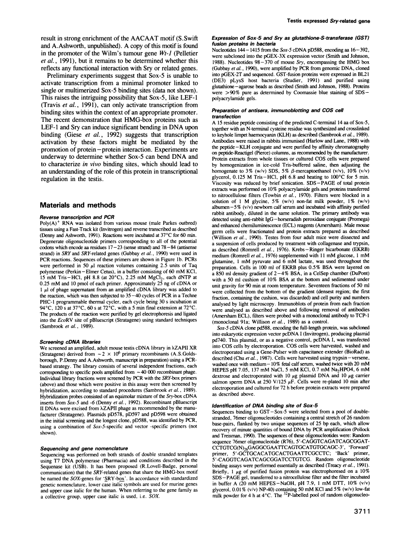 icon of scanned page 3711