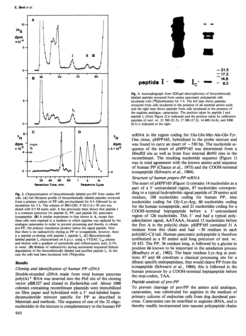 icon of scanned page 910